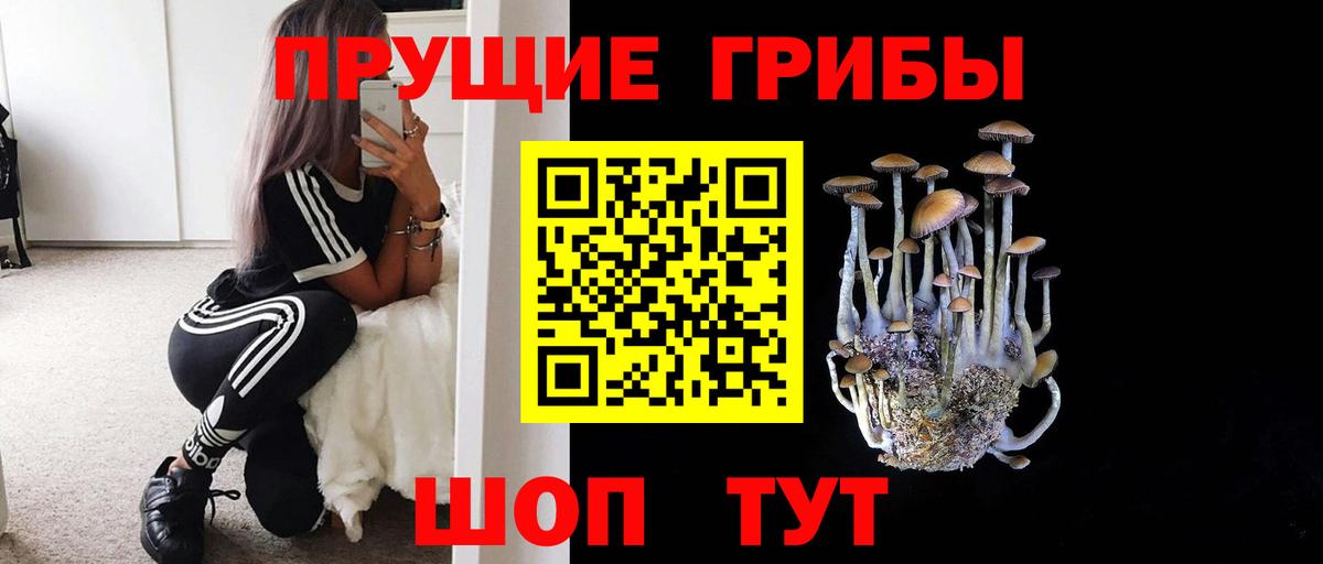 Можга  Псилоцибиновые грибы мицелий  Вход с VPN 